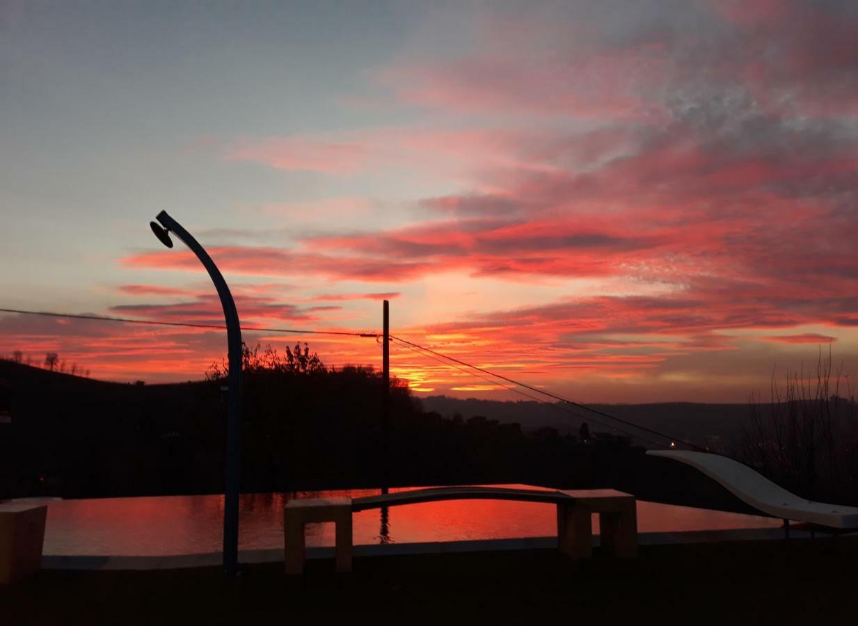 Cascina Roella ξενώνας Monforte dʼAlba Εξωτερικό φωτογραφία